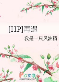 [HP] 再遇